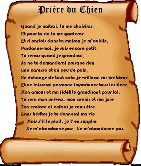pri&egrave;re du chien